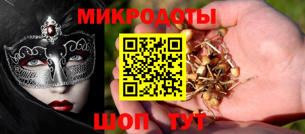 Псилоцибиновые грибы MAGIC MUSHROOMS  Вход с VPN  Прокопьевск 